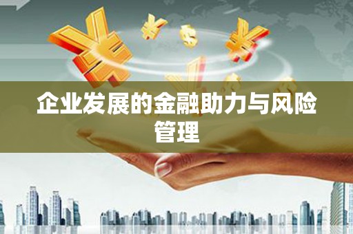 南宫企业发展的金融助力与风险管理