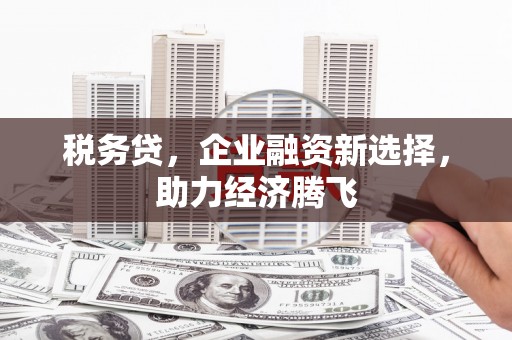 南宫税务贷，企业融资新选择，助力经济腾飞
