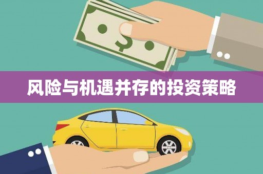 南宫风险与机遇并存的投资策略