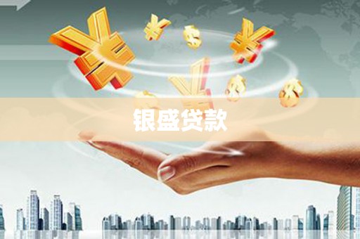 南宫银盛贷款