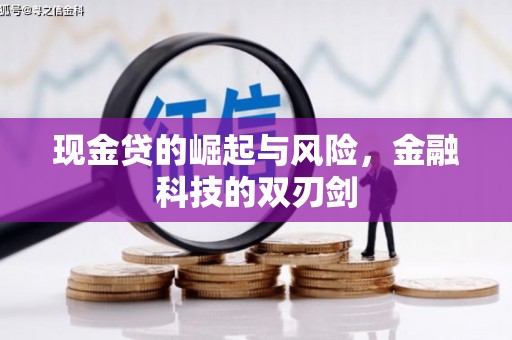 南宫现金贷的崛起与风险，金融科技的双刃剑