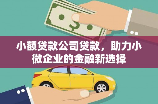 南宫小额贷款公司贷款，助力小微企业的金融新选择