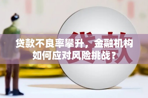 南宫贷款不良率攀升，金融机构如何应对风险挑战？