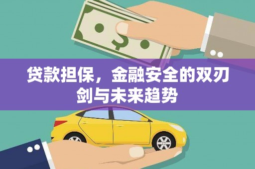南宫贷款担保，金融安全的双刃剑与未来趋势