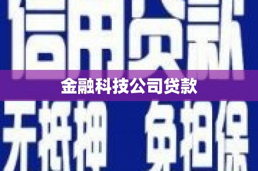 南宫金融科技公司贷款
