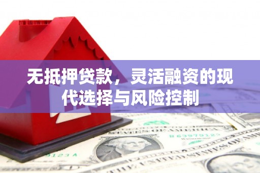 南宫无抵押贷款，灵活融资的现代选择与风险控制