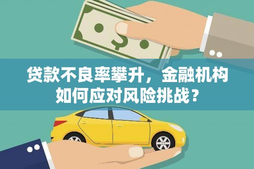 南宫贷款不良率攀升，金融机构如何应对风险挑战？