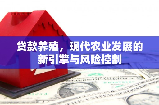 南宫贷款养殖，现代农业发展的新引擎与风险控制