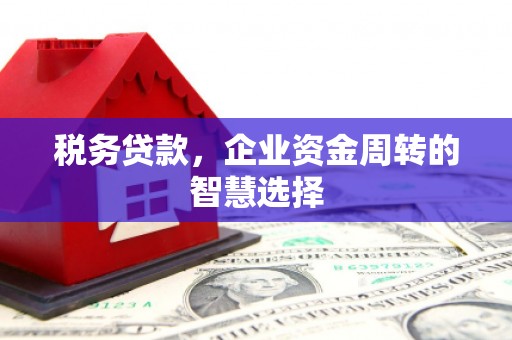 南宫税务贷款，企业资金周转的智慧选择