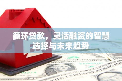 南宫循环贷款，灵活融资的智慧选择与未来趋势