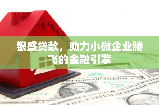 南宫银盛贷款，助力小微企业腾飞的金融引擎