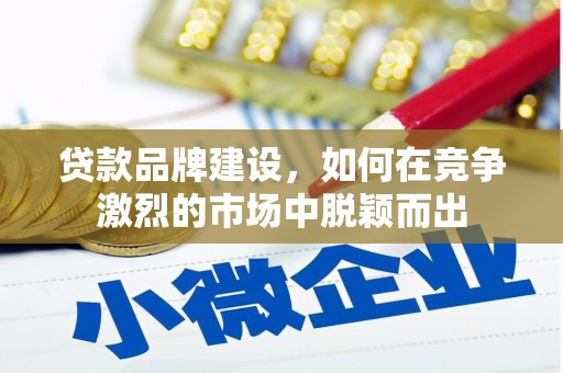 南宫贷款品牌建设，如何在竞争激烈的市场中脱颖而出