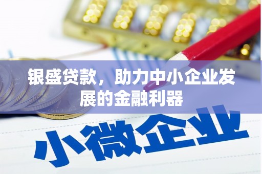 南宫银盛贷款，助力中小企业发展的金融利器