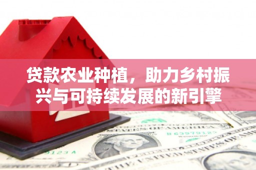 南宫贷款农业种植，助力乡村振兴与可持续发展的新引擎