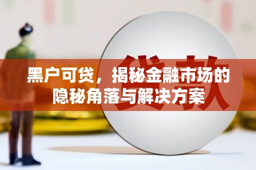 南宫黑户可贷，揭秘金融市场的隐秘角落与解决方案