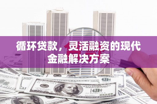 南宫循环贷款，灵活融资的现代金融解决方案