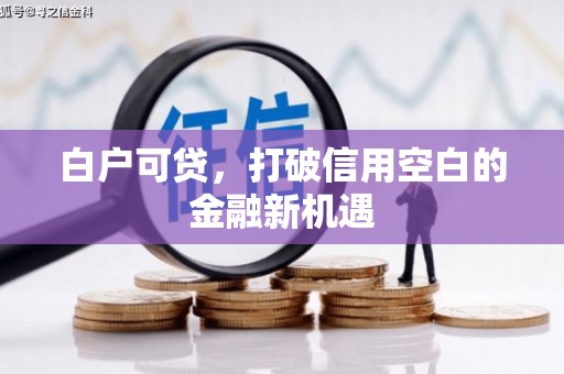 南宫白户可贷，打破信用空白的金融新机遇