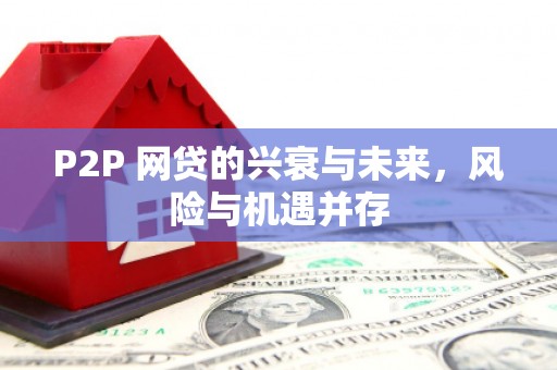 南宫P2P 网贷的兴衰与未来，风险与机遇并存