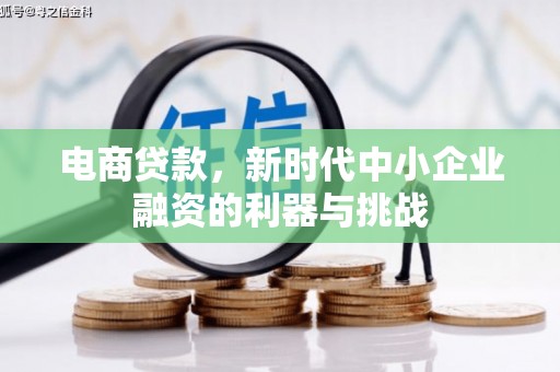 南宫电商贷款，新时代中小企业融资的利器与挑战