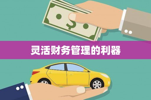 南宫灵活财务管理的利器