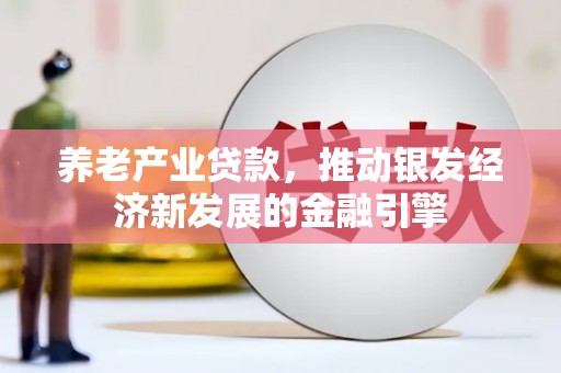 南宫养老产业贷款，推动银发经济新发展的金融引擎
