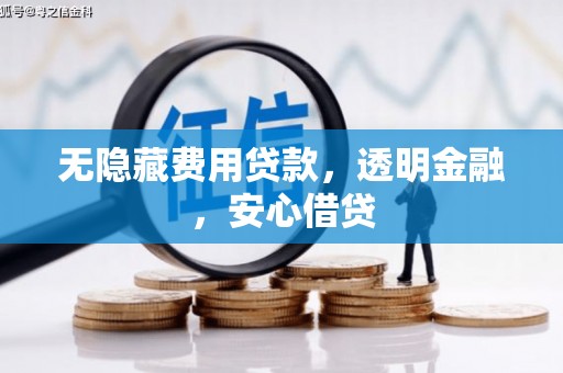 南宫无隐藏费用贷款，透明金融，安心借贷