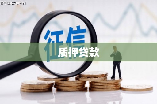 南宫质押贷款