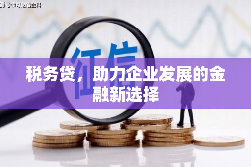 南宫税务贷，助力企业发展的金融新选择
