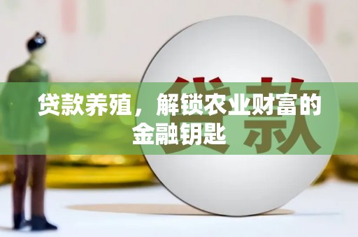 南宫贷款养殖，解锁农业财富的金融钥匙