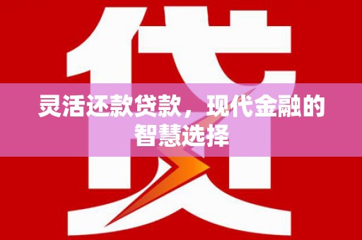 南宫灵活还款贷款，现代金融的智慧选择