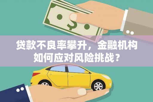 南宫贷款不良率攀升，金融机构如何应对风险挑战？