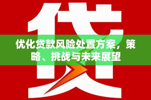 南宫优化贷款风险处置方案，策略、挑战与未来展望