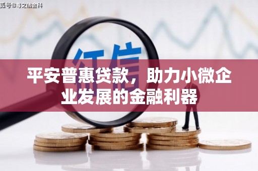 南宫平安普惠贷款，助力小微企业发展的金融利器