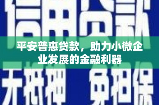 南宫平安普惠贷款，助力小微企业发展的金融利器