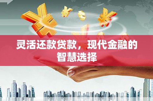 南宫灵活还款贷款，现代金融的智慧选择