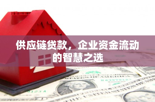 南宫供应链贷款，企业资金流动的智慧之选