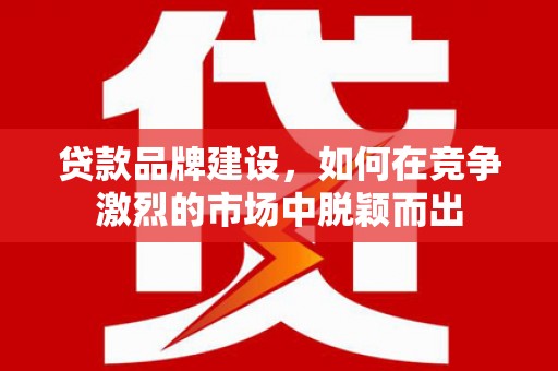 南宫贷款品牌建设，如何在竞争激烈的市场中脱颖而出