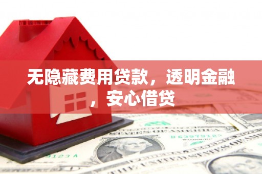 南宫无隐藏费用贷款，透明金融，安心借贷
