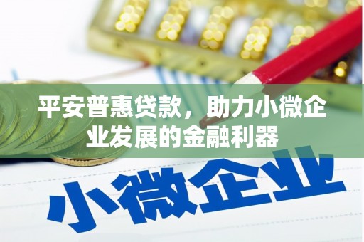 南宫平安普惠贷款，助力小微企业发展的金融利器