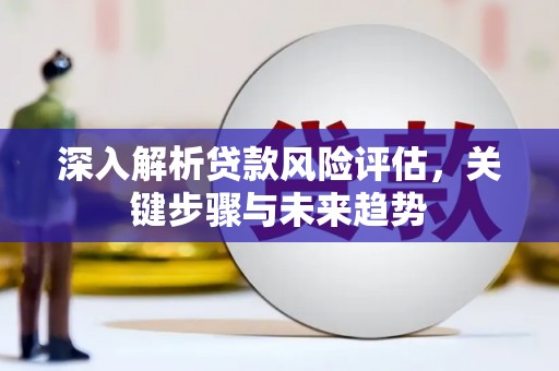 南宫深入解析贷款风险评估，关键步骤与未来趋势