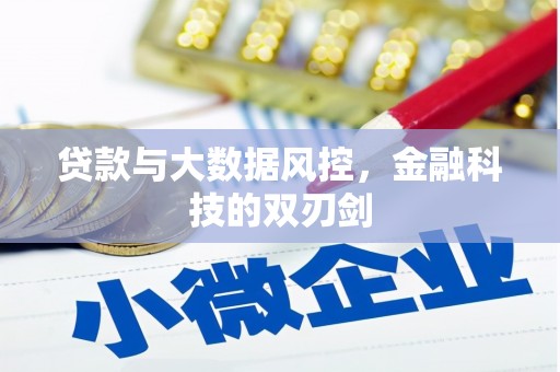 南宫贷款与大数据风控，金融科技的双刃剑