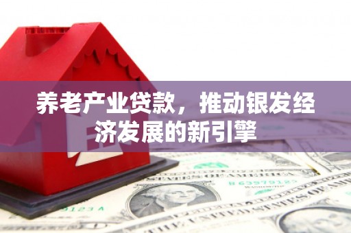 南宫养老产业贷款，推动银发经济发展的新引擎
