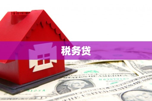 南宫税务贷