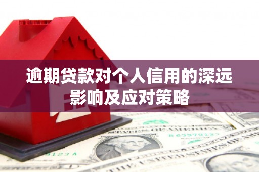 南宫逾期贷款对个人信用的深远影响及应对策略
