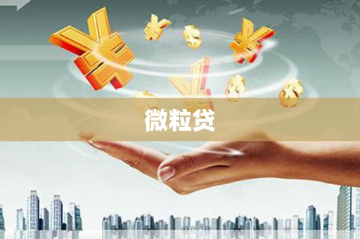 南宫微粒贷