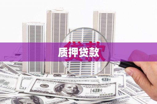 南宫质押贷款