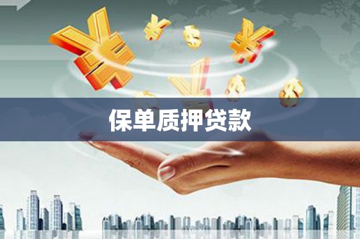 南宫保单质押贷款