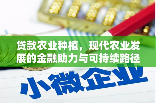 南宫贷款农业种植，现代农业发展的金融助力与可持续路径