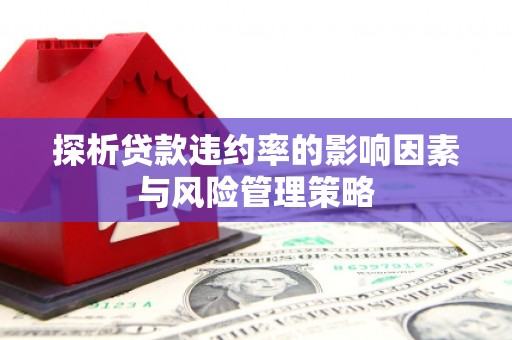 南宫探析贷款违约率的影响因素与风险管理策略