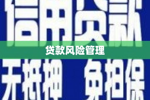 南宫贷款风险管理
